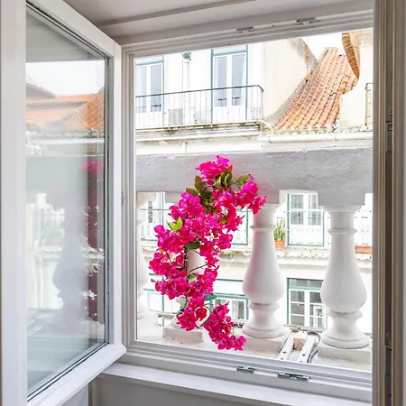 Apartment Boutique In The Heart Of ! Lemonn J *